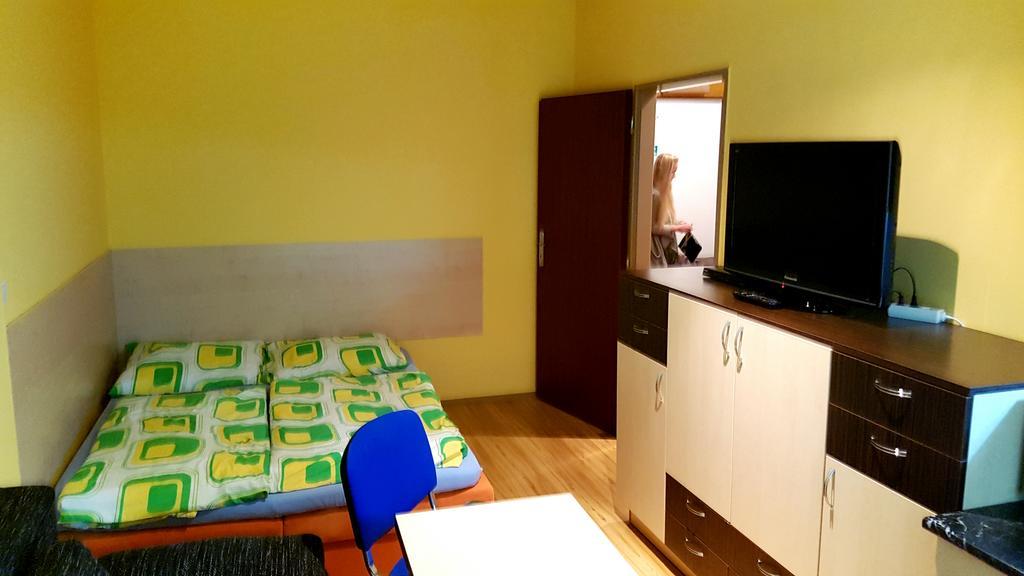 Orbit Karlov Apartment *